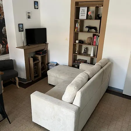 아파트 50 Metres De La Avec Garage Prive Et Terrasse 르 포르텔