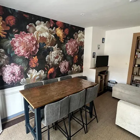 50 Metres De La Avec Garage Prive Et Terrasse * 르 포르텔